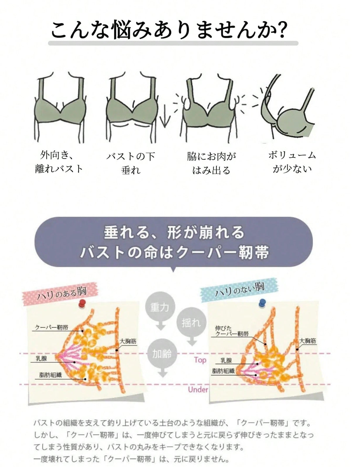 ソフトでノンワイヤーのブラ＆パンティセット。高い脇支えでしっかりホールド＆谷間。バストと背中を美しく。フルレースデザインがバストを引き立て、より豊かで谷間を強調。完璧なランジェリー